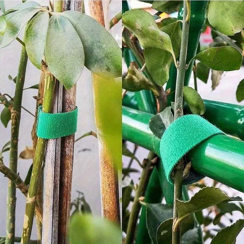 Self-Adhesive Reusable Garden Plant Tie Straps – Hook & Loop Support Tape - CartRare