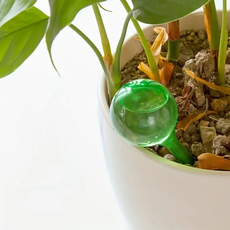 Self-Watering Globes – 5pcs Automatic Plant Watering Devices for Indoor & Outdoor Pots - CartRare