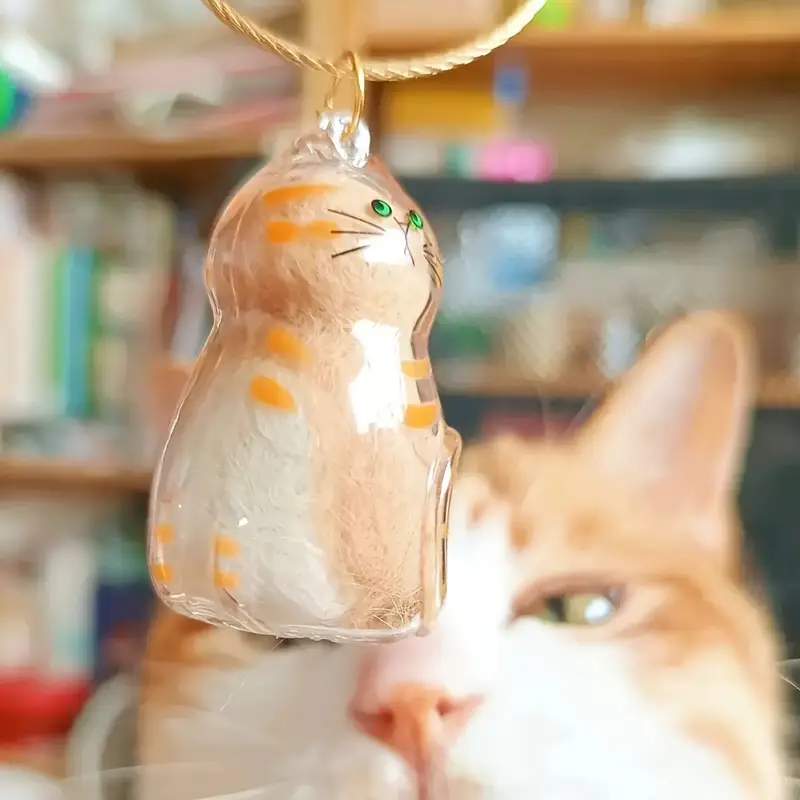 Cat Fur Memorial Keychain Transparent Pet Hair Keepsake Pendant