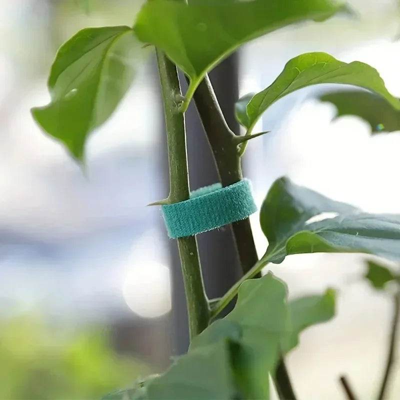 Self-Adhesive Reusable Garden Plant Tie Straps – Hook & Loop Support Tape - CartRare