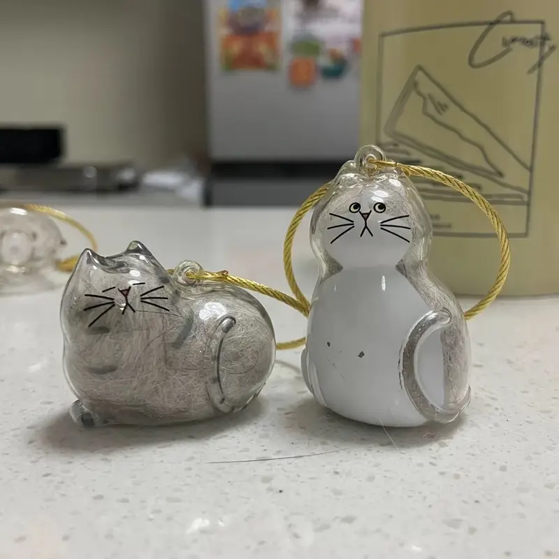 Cat Fur Memorial Keychain Transparent Pet Hair Keepsake Pendant