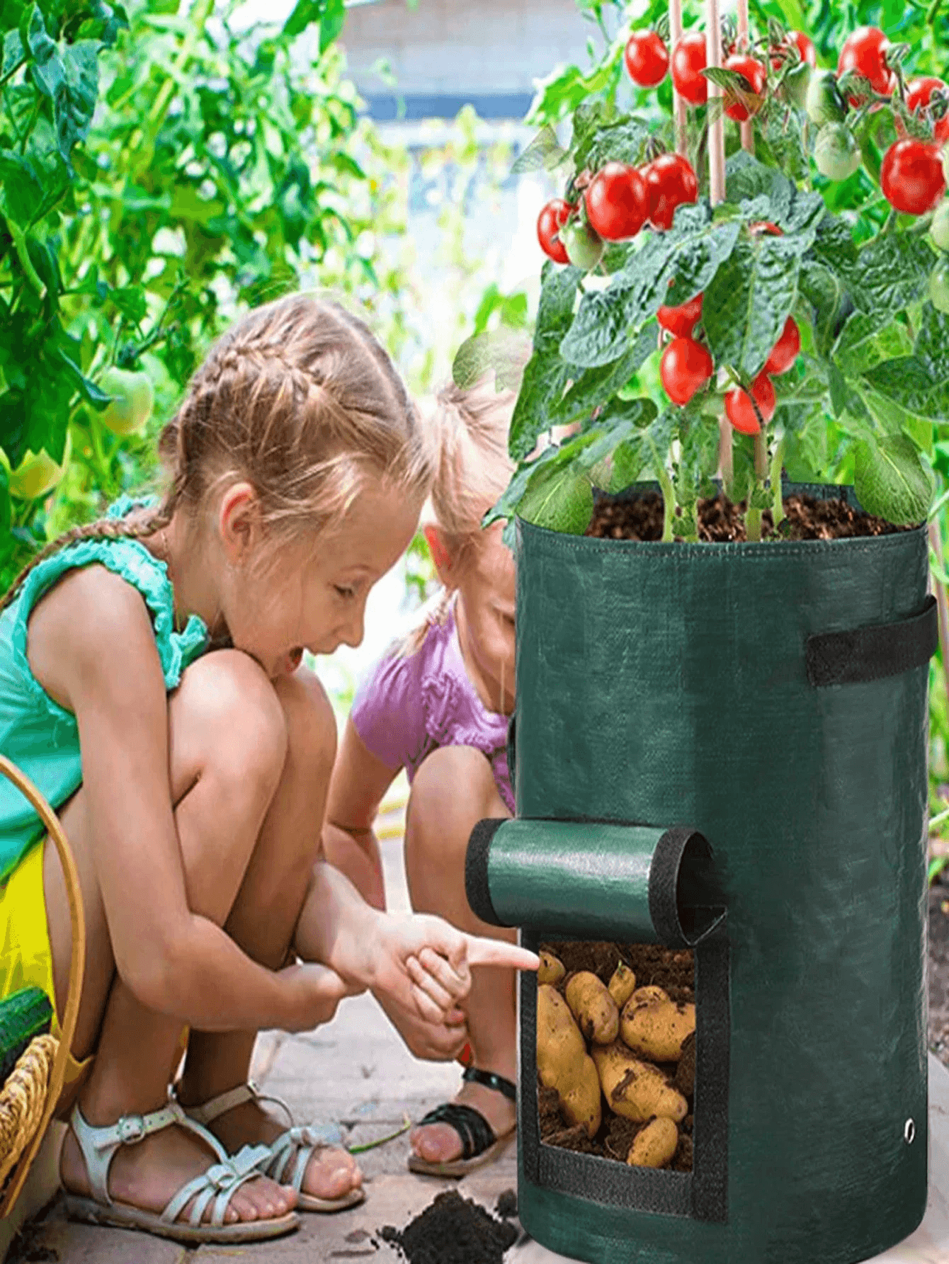 5 PCS Vegetable Grow Bag Planting Bags - CartRare