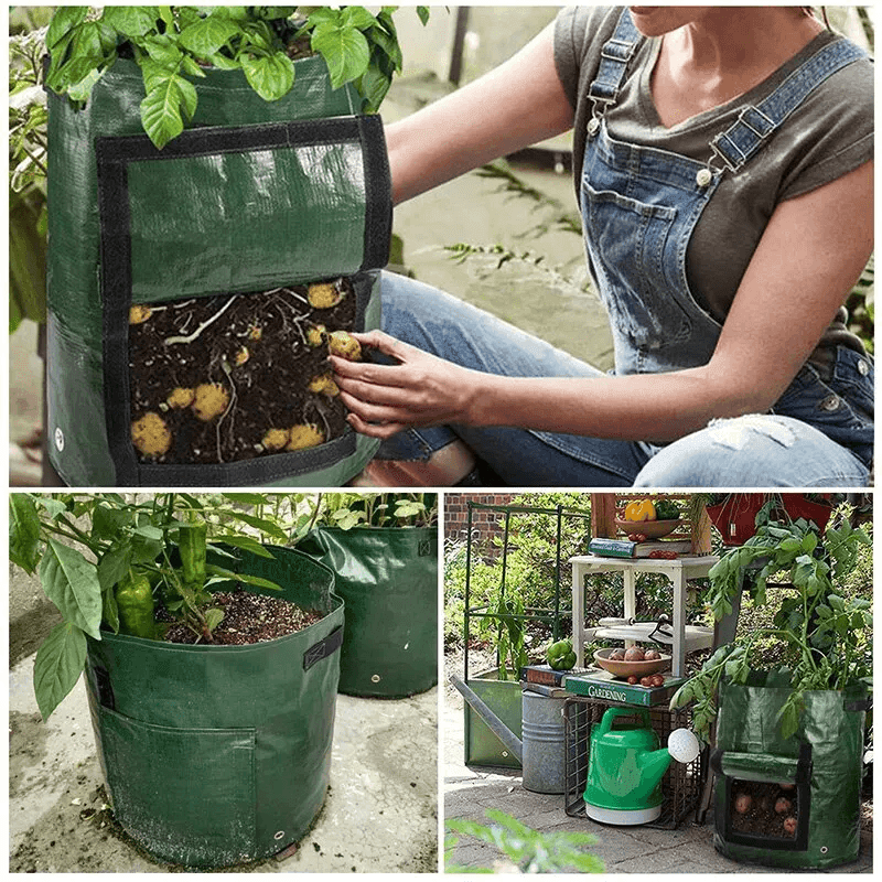 1 PCS Vegetable Grow Bag Planting Bags - CartRare
