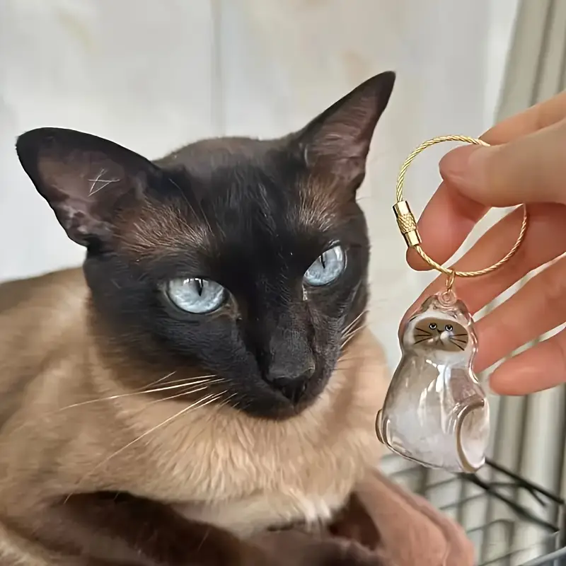Cat Fur Memorial Keychain Transparent Pet Hair Keepsake Pendant