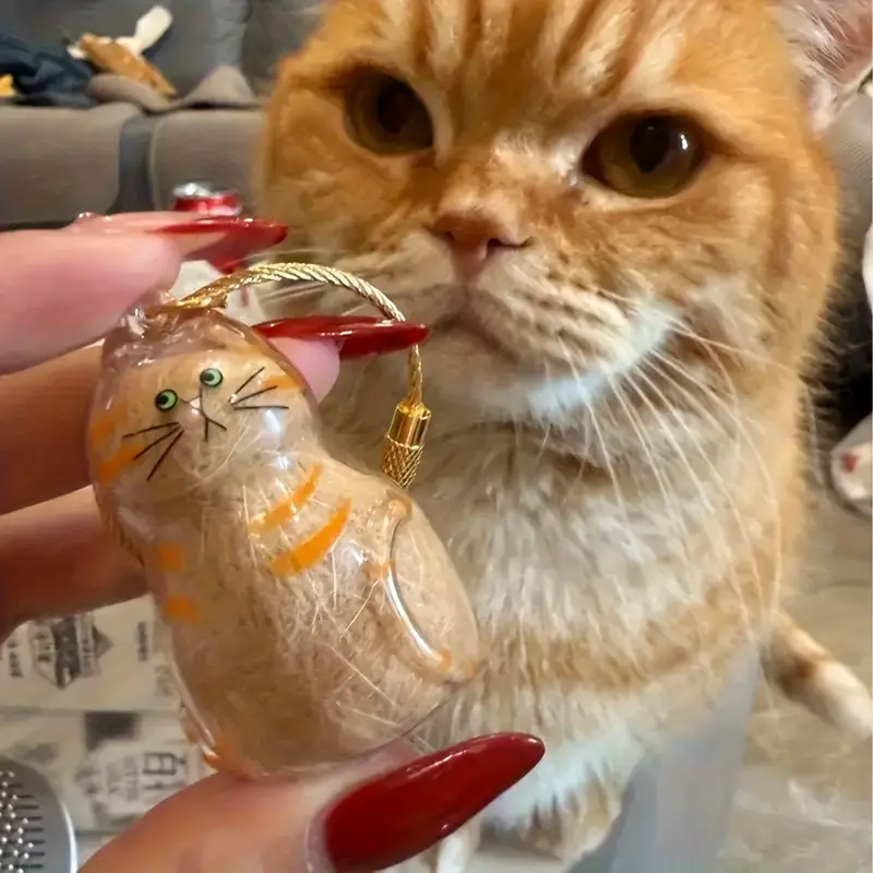 Cat Fur Memorial Keychain Transparent Pet Hair Keepsake Pendant