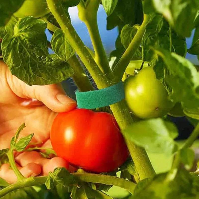 Self-Adhesive Reusable Garden Plant Tie Straps – Hook & Loop Support Tape - CartRare