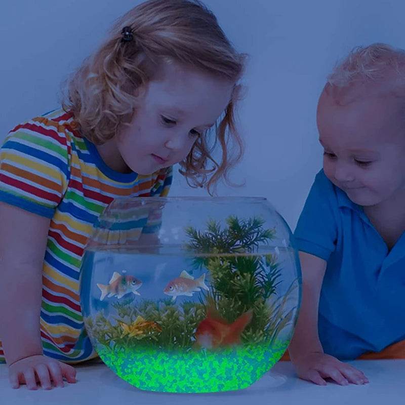 Glow in the Dark Pebbles – Luminous Stones for Garden, Path, Lawn & Aquarium Decor - CartRare