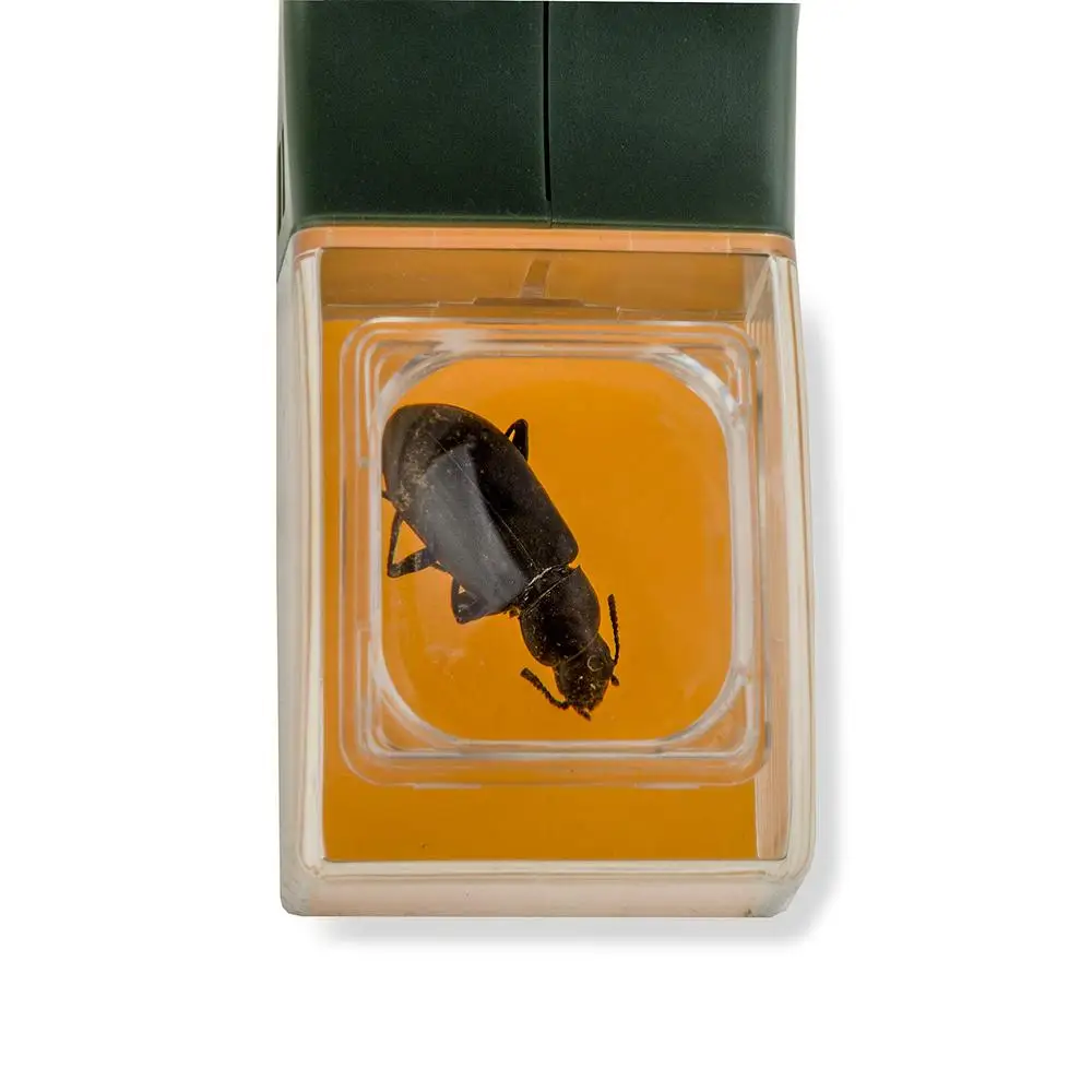 Bug Catcher Insect Viewer for Kids 5x Magnifier Toy Magnifier Tool