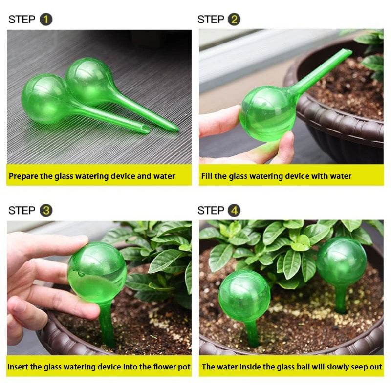 Self-Watering Globes – 5pcs Automatic Plant Watering Devices for Indoor & Outdoor Pots - CartRare