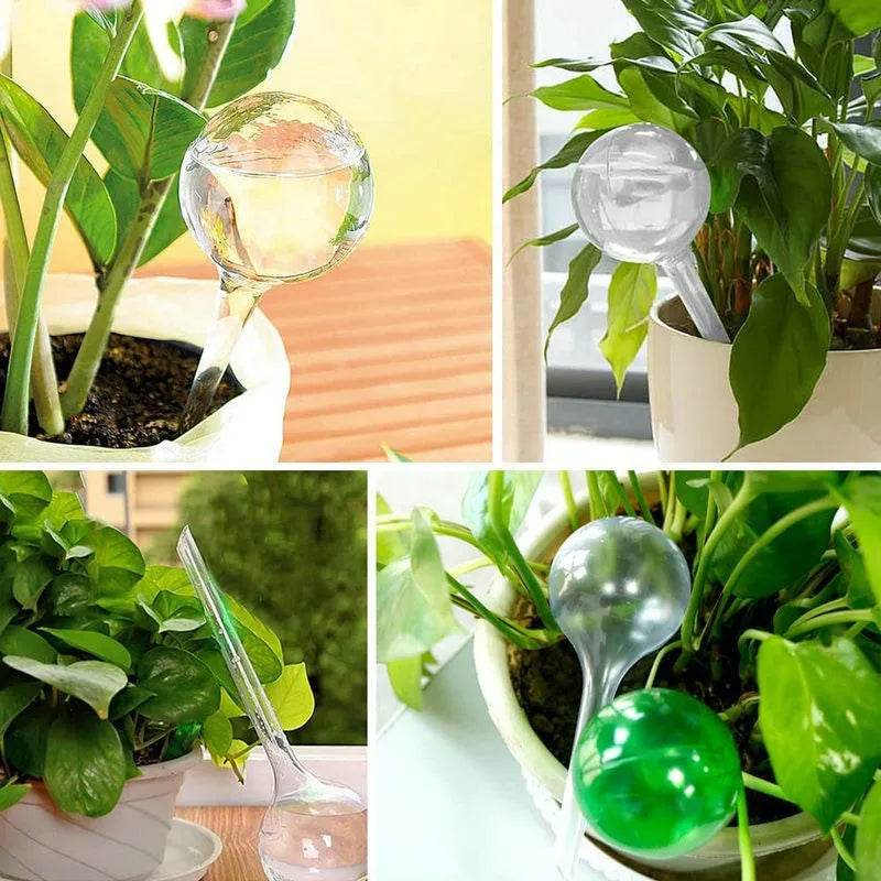 Self-Watering Globes – 5pcs Automatic Plant Watering Devices for Indoor & Outdoor Pots - CartRare