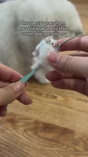 Cat Fur Memorial Keychain Transparent Pet Hair Keepsake Pendant