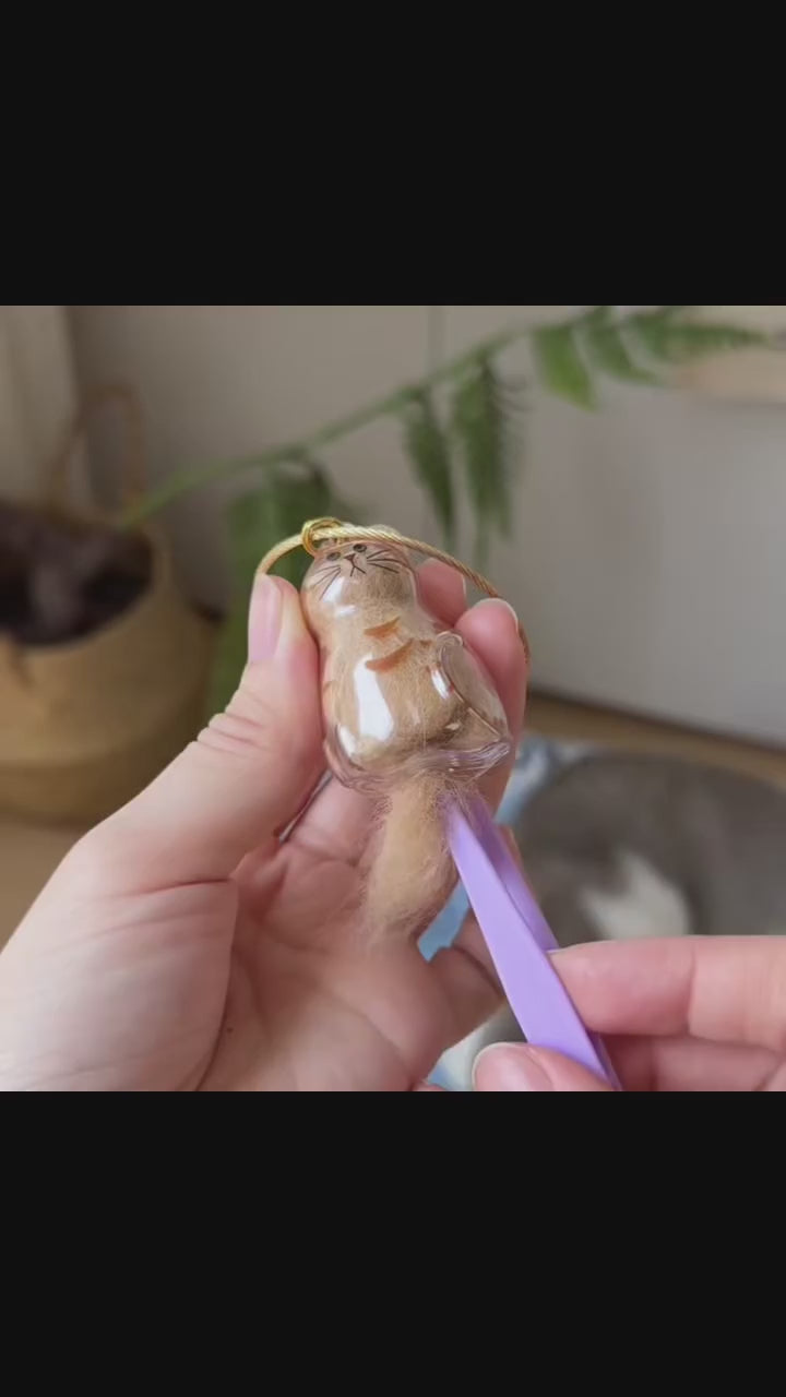 Cat Fur Memorial Keychain Transparent Pet Hair Keepsake Pendant