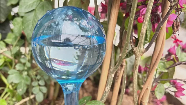 Self-Watering Globes – 5pcs Automatic Plant Watering Devices for Indoor & Outdoor Pots
